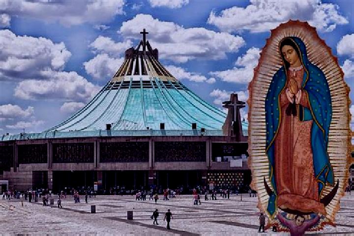 Willow, 24 — Escort in Las Torres de Guadalupe, Mexico