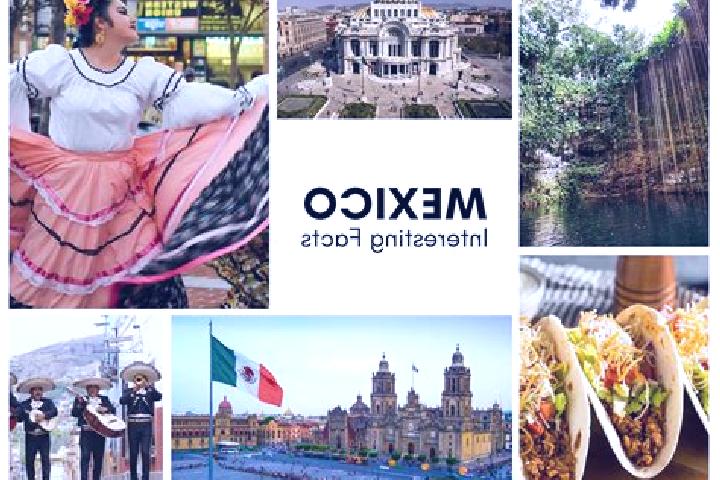 Willow, 24 — Escort in Niquivil, Mexico