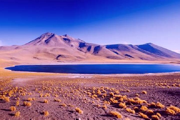 Willow, 24 — Escort in San Pedro de Atacama, Chile