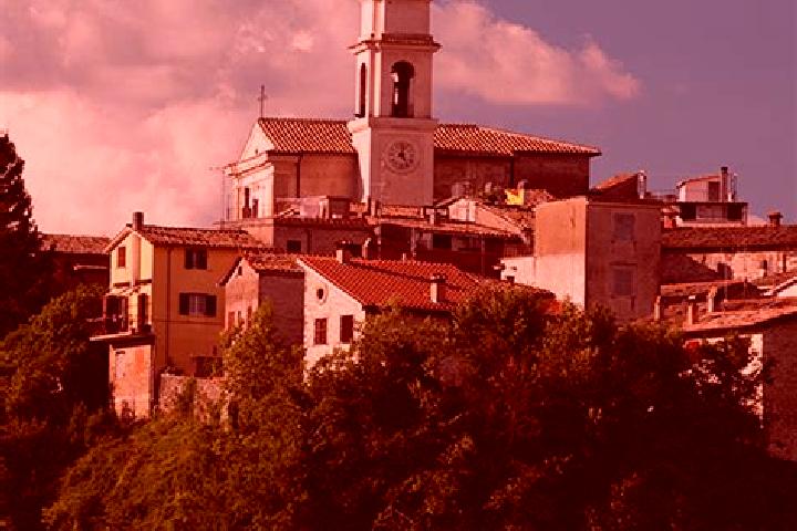 Willow, 24 — Escort in San Polo dei Cavalieri, Italy