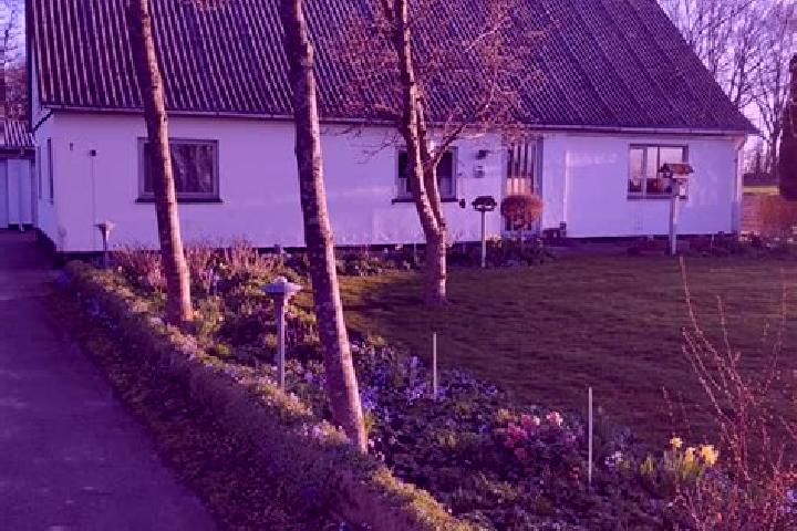 Willow, 24 — Escort in Sandved, Denmark