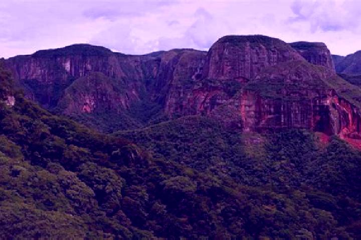 Willow, 24 — Escort in Santa Cruz Tacahua, Mexico