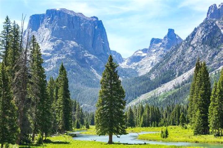 Willow, 24 — Escort in Wyoming, United States