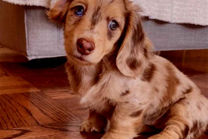 Willow, 25, a chestnut blue-eyed mixed companion based in Muriel Viejo. Offering Overnight, Party Girl, Tantra. Available for incall and outcall, overnight b...
