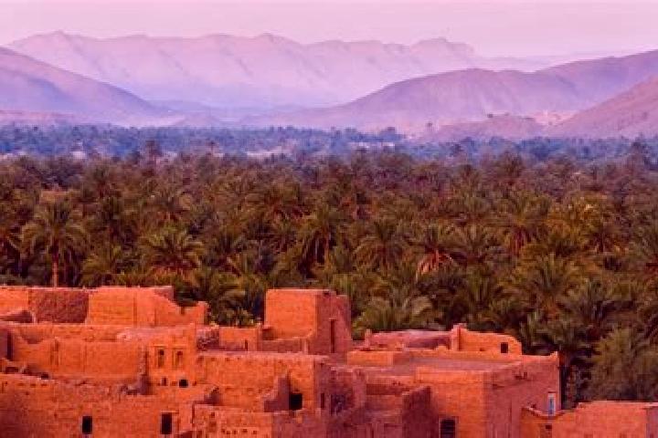 Willow, 25 — Escort in Ain Attig, Morocco
