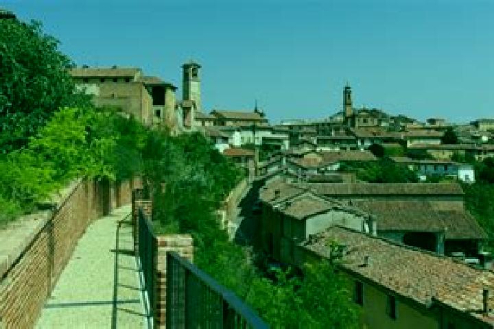 Willow, 25 — Escort in Altavilla Monferrato, Italy