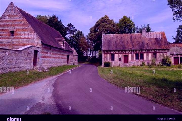 Willow, 25 — Escort in Auberville-la-Campagne, France
