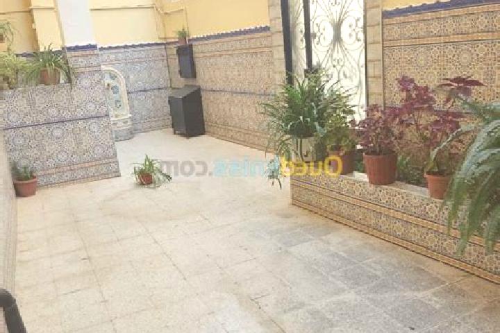Willow, 25 — Escort in Beni Tamou, Algeria