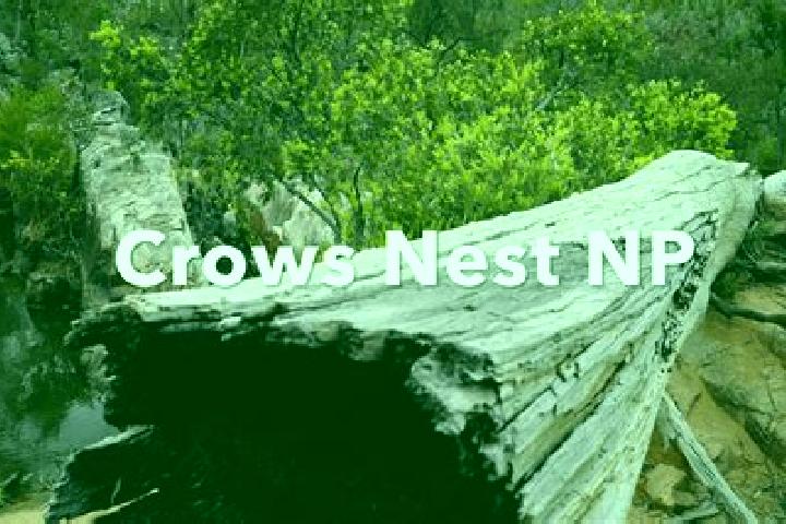 Willow, 25 — Escort in Crows Nest, Australia