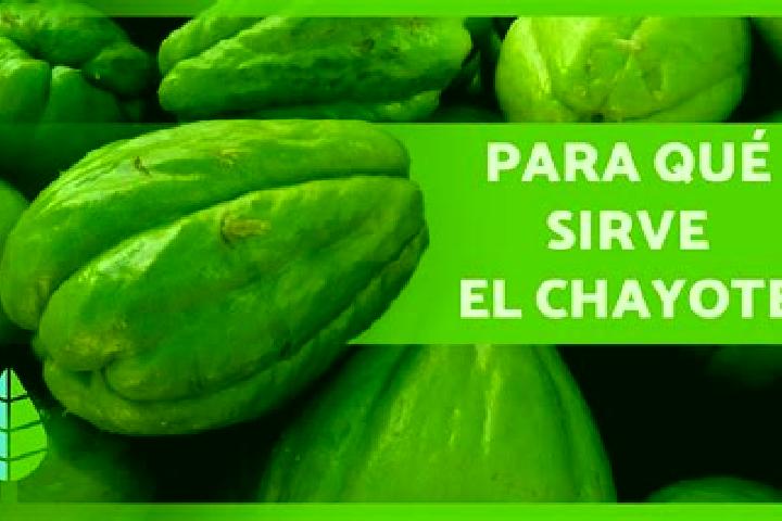 Willow, 25 — Escort in El Chote, Mexico