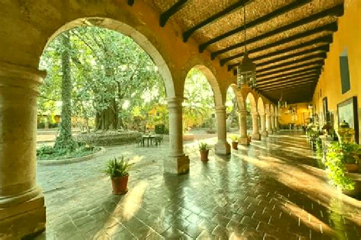 Willow, 25 — Escort in Hacienda de Cabanas, Mexico
