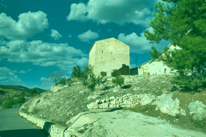 Willow, 25 — Escort in La Torre de les Macanes, Spain