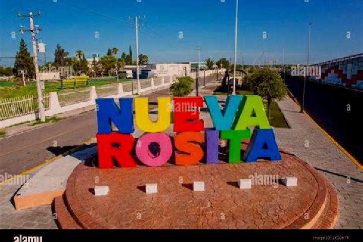 Willow, 25 — Escort in Nueva Rosita, Mexico
