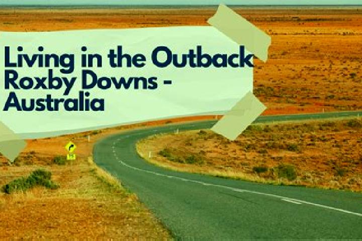 Willow, 25 — Escort in Roxby Downs, Australia