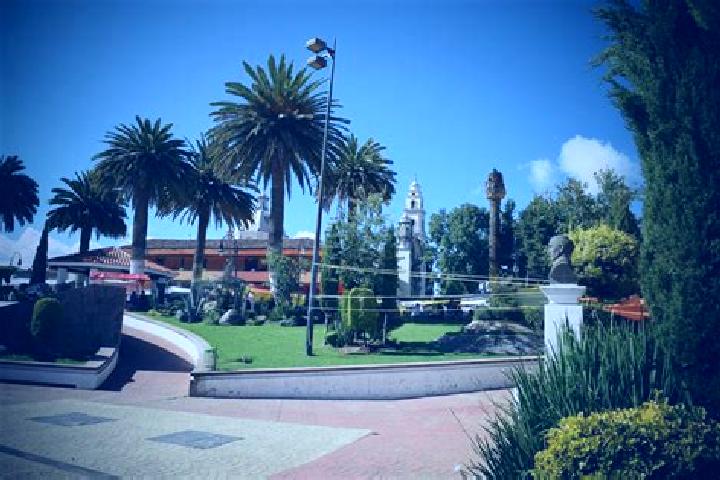 Willow, 25 — Escort in San Pedro Arriba, Mexico