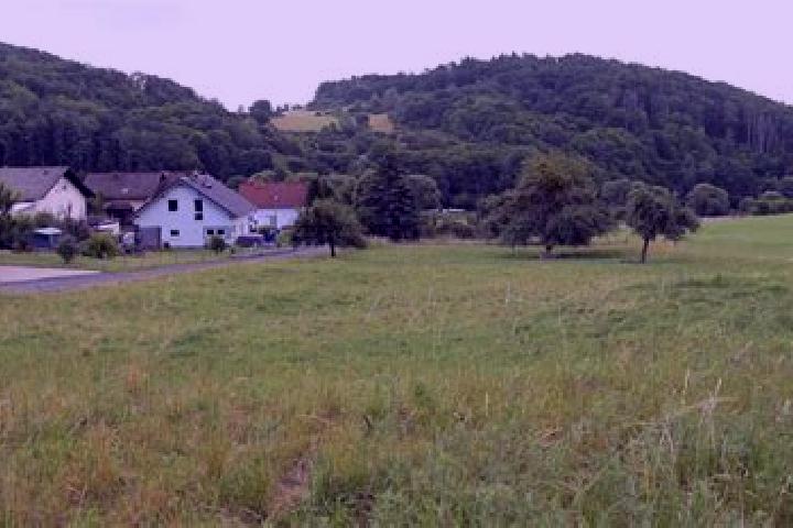 Willow, 25 — Escort in Siegbach, Germany