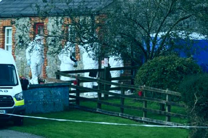 Willow, 25 — Escort in Tallanstown, Ireland