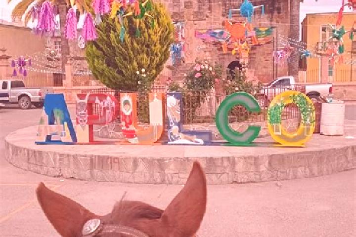 Willow, 25 — Escort in Tenayuca, Mexico