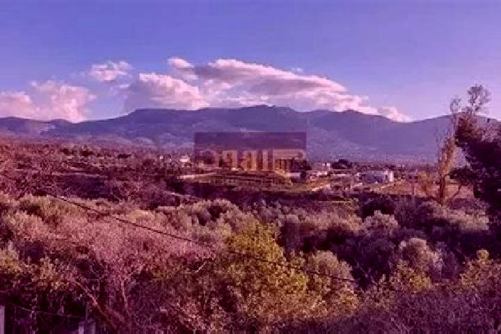 Willow, 26 — Escort in Acharnes, Greece