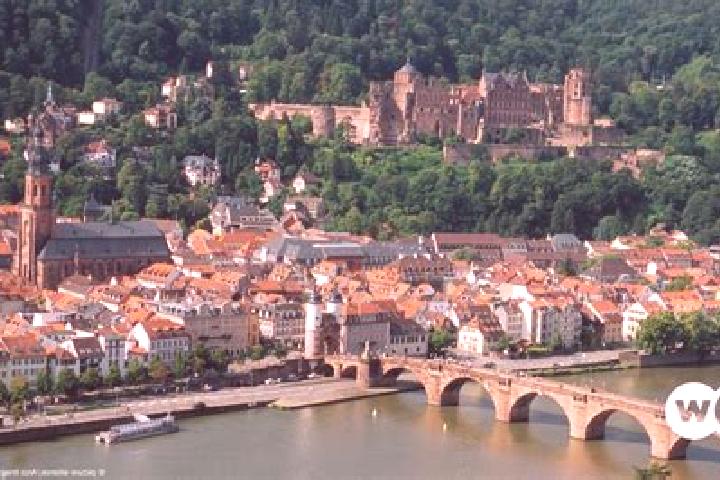 Willow, 26 — Escort in Buehl, Germany