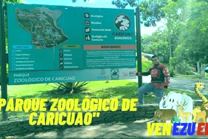 Willow, 26 — Escort in Caricuao, Venezuela