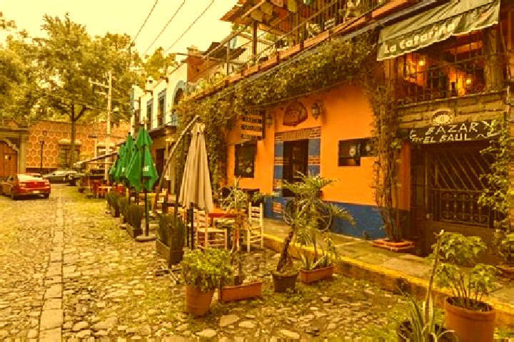 Willow, 26 — Escort in Coyoacan, Mexico