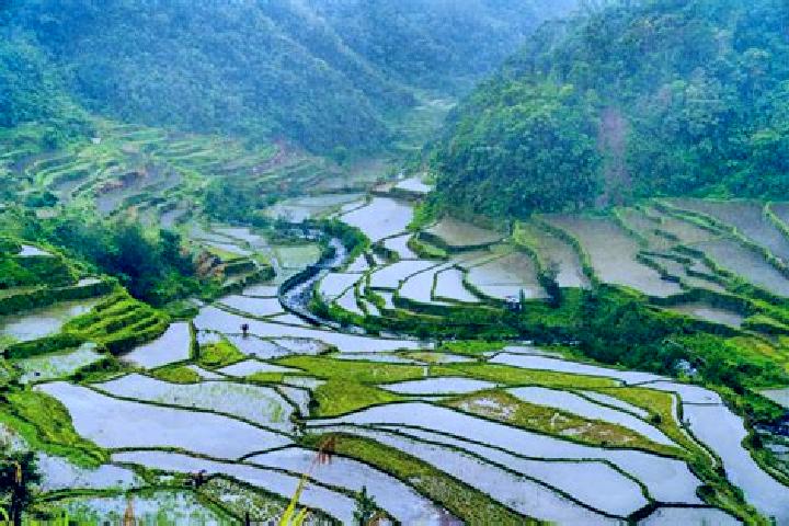 Willow, 26 — Escort in Kabugao, Philippines