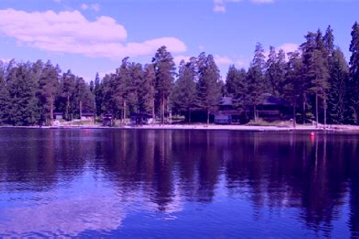 Willow, 26 — Escort in Koivuhaka, Finland