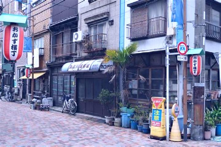 Willow, 26 — Escort in Kuramae, Japan
