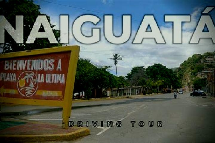 Willow, 26 — Escort in Naiguata, Venezuela