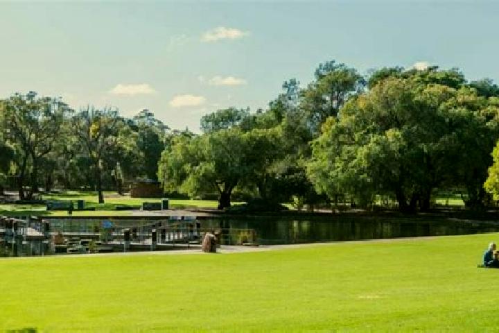 Willow, 26 — Escort in Piara Waters, Australia