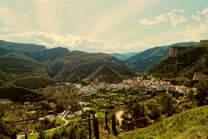 Willow, 26 — Escort in Sot de Chera, Spain