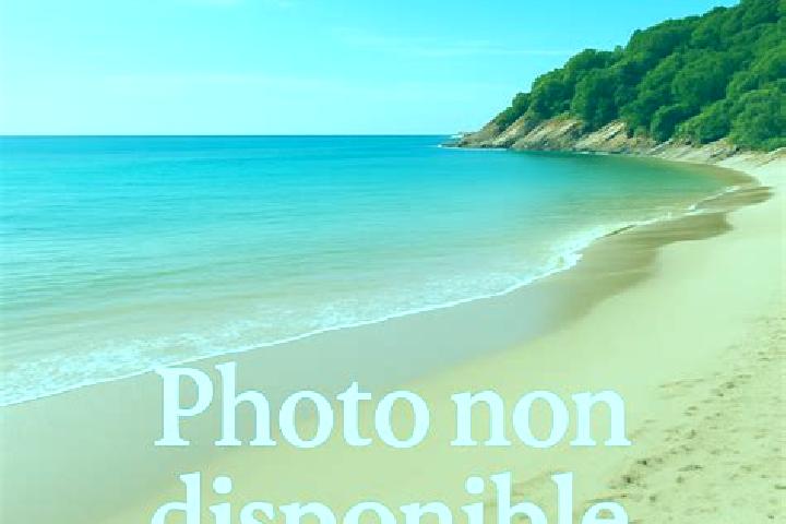 Willow, 26 — Escort in Valras-Plage, France