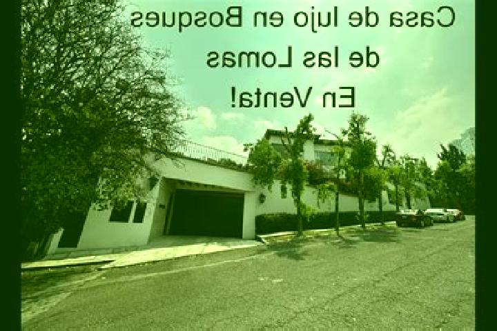 Willow, 26 — Escort in Villas de las Lomas, Mexico