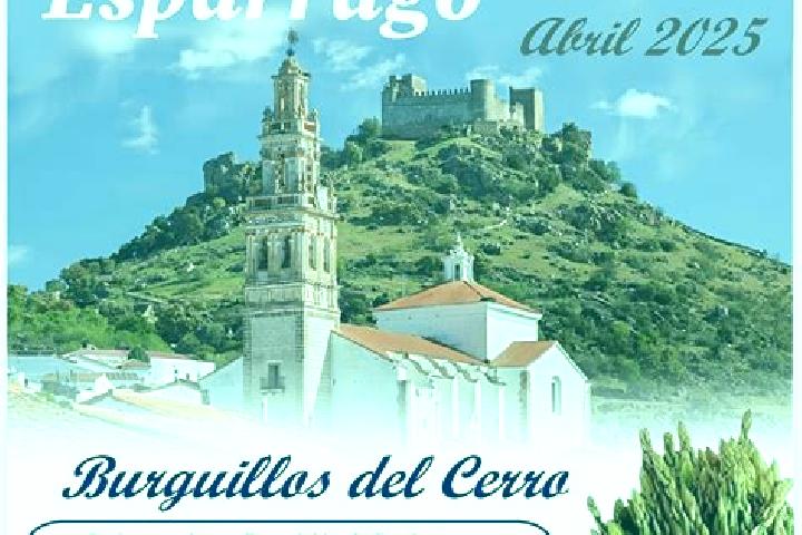 Willow, 27 — Escort in Burguillos, Spain