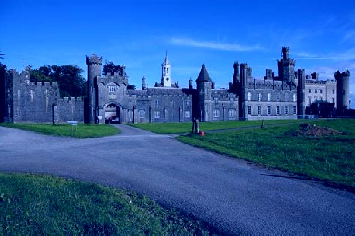 Willow, 27 — Escort in Castlepollard, Ireland