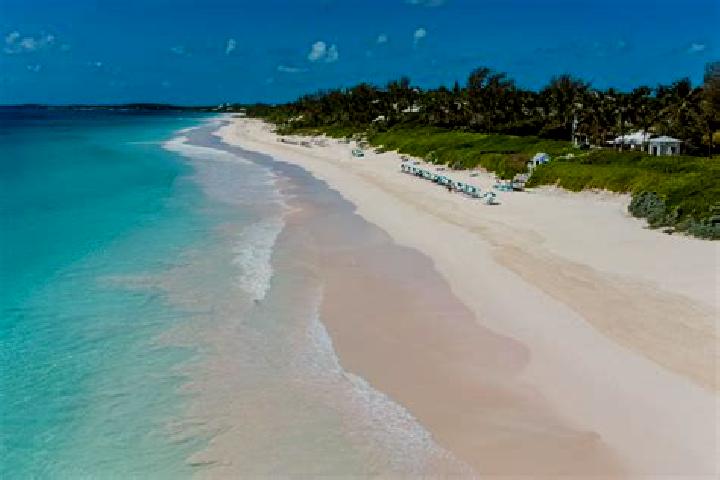 Willow, 27 — Escort in Dunmore Town, Bahamas