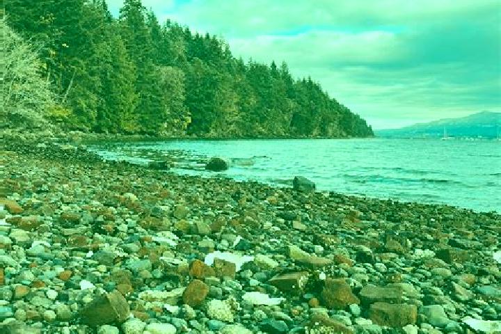 Willow, 27 — Escort in Gabriola, Canada