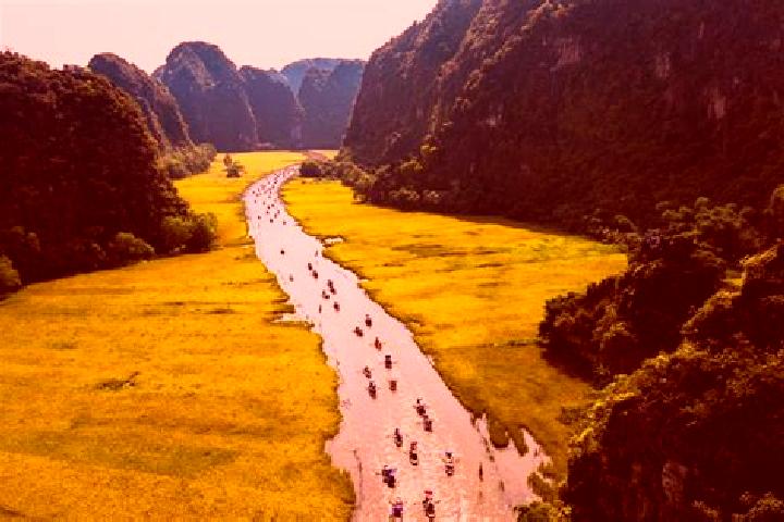 Willow, 27 — Escort in Hoa Binh, Vietnam