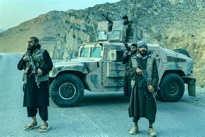 Willow, 27 — Escort in Kalafgan, Afghanistan
