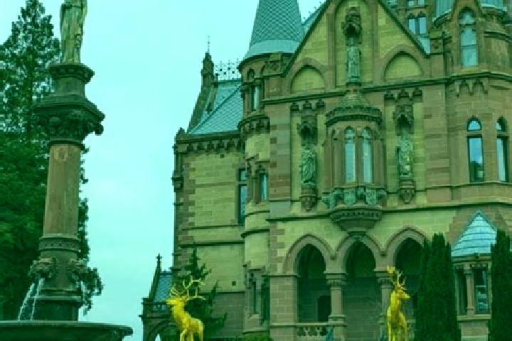 Willow, 27 — Escort in Koenigswinter, Germany