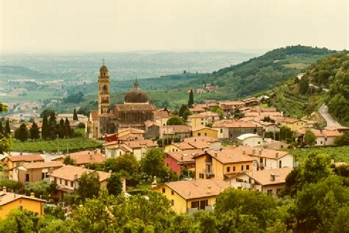 Willow, 27 — Escort in Marano di Valpolicella, Italy