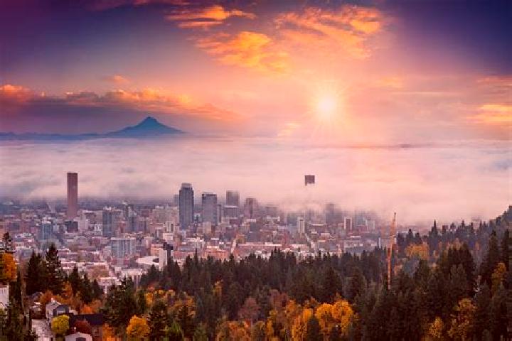 Willow, 27 — Escort in Portland, United States
