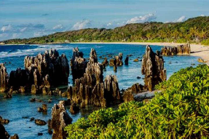 Willow, 27 — Escort in Ronave, Nauru