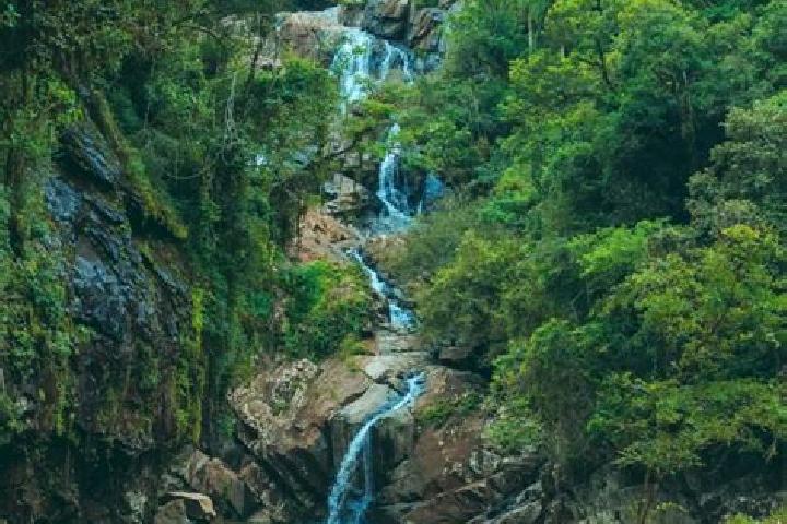 Willow, 27 — Escort in Sao Miguel do Anta, Brazil
