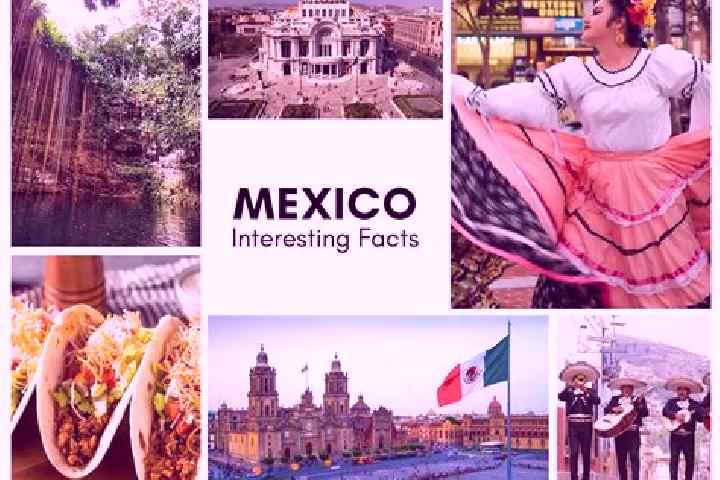 Willow, 27 — Escort in Tuncingo, Mexico