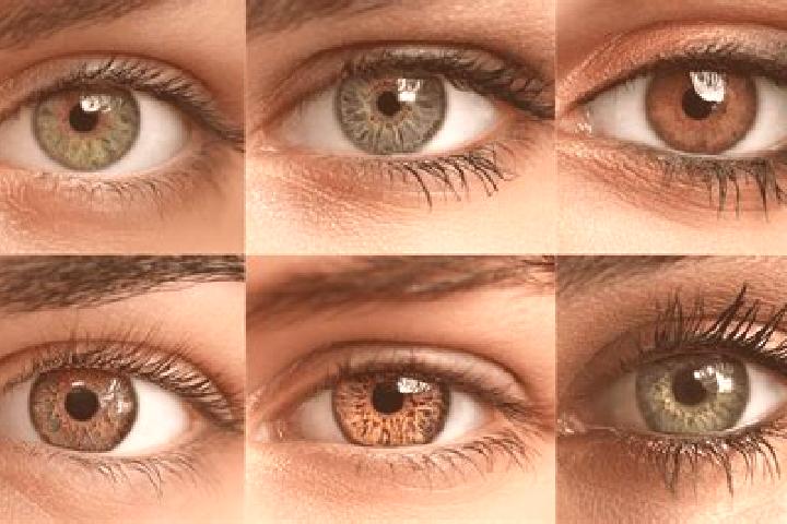 Willow, 28, a black hazel-eyed caucasian companion based in Heliao. Offering A-Level, Overnight, Tantra. Available for incall and outcall, day and evening da...