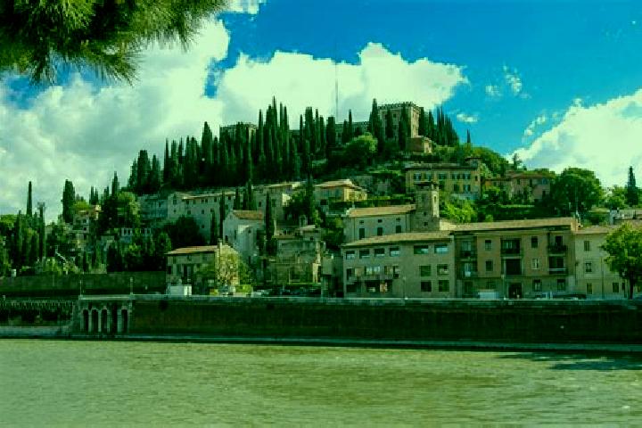 Willow, 28 — Escort in Castel San Pietro, Switzerland
