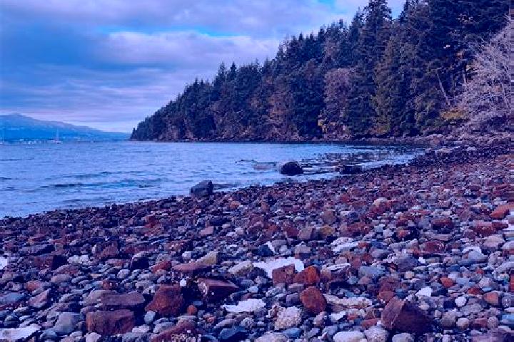 Willow, 28 — Escort in Gabriola, Canada