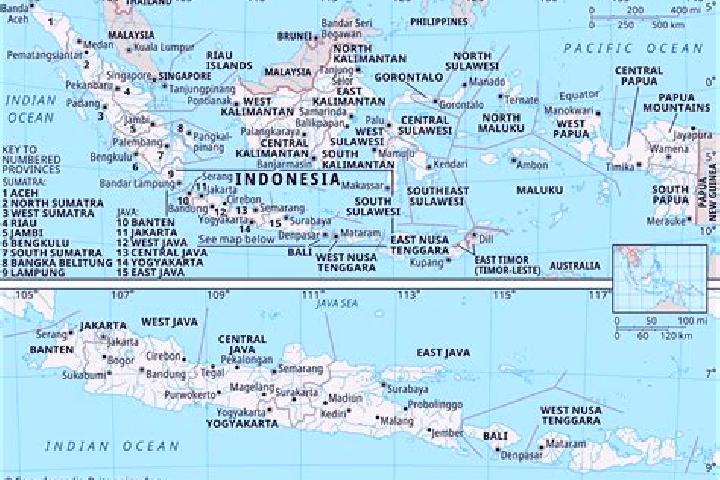 Willow, 28 — Escort in Hewa, Indonesia